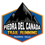 logo piedra 2021